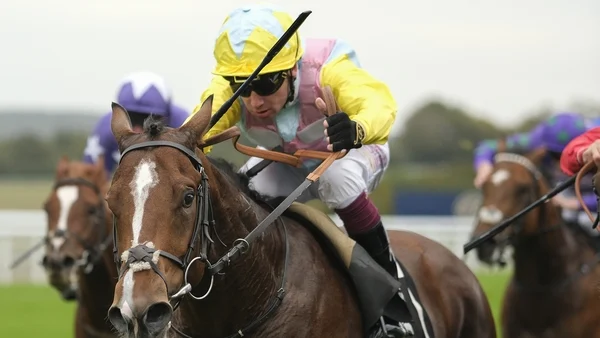 Oisin Murphy survives stewards' inquiry to notch 200th British winner of the year at Goodwood