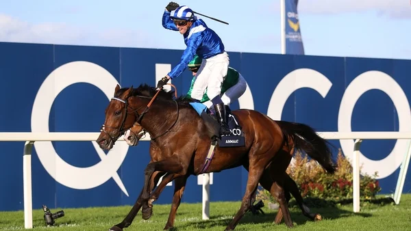 Ascot Champions Day: 40-1 shot Anmaat claims Champions Stakes, Charyn edges Facteur Cheval in Queen Elizabeth II stakes