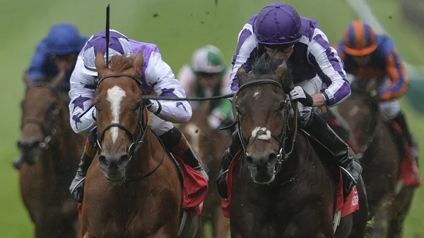 Delacroix to mount Futurity challenge for Aidan O'Brien