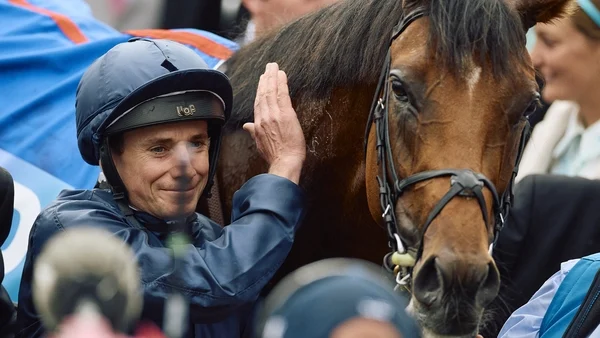 Joseph O'Brien expects Classic to be 'race of the year'