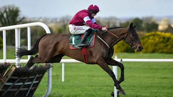 Gordon Elliott tips Brighterdaysahead for Champion Hurdle tilt