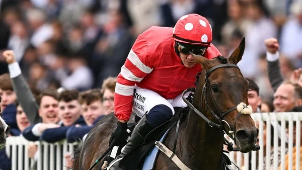 Pink In The Park surprises in Clonmel Mares Chase hase