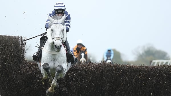 Evergreen Al Dancer runs Badger Beer rivals ragged at Wincanton