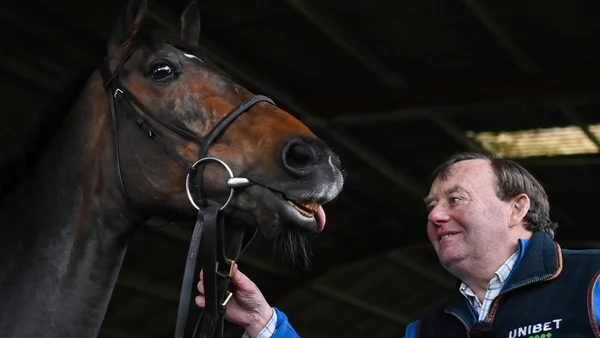 Constitution Hill a market drifter after Newbury gallop