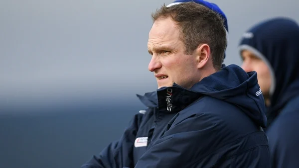 Laois to appoint Tommy Fitzgerald as manager of senior hurlers