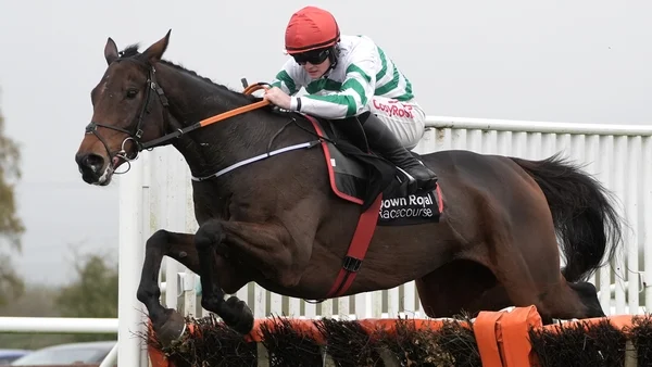 The Yellow Clay wins as Gordon Elliott saddles Navan four-timer