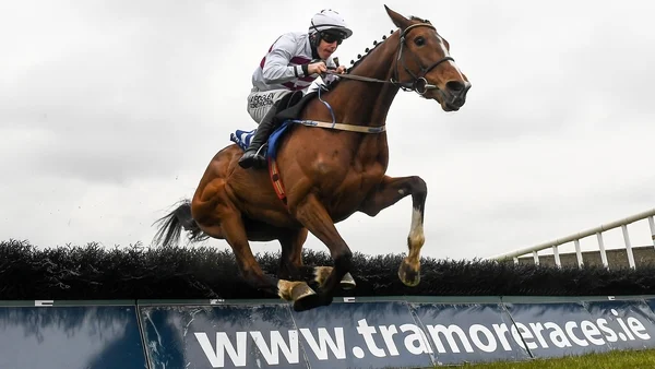 New Year's Day card at Tramore gets green light following inspection