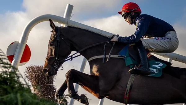 Embassy Gardens too good for Monty's Star in Tramore feature